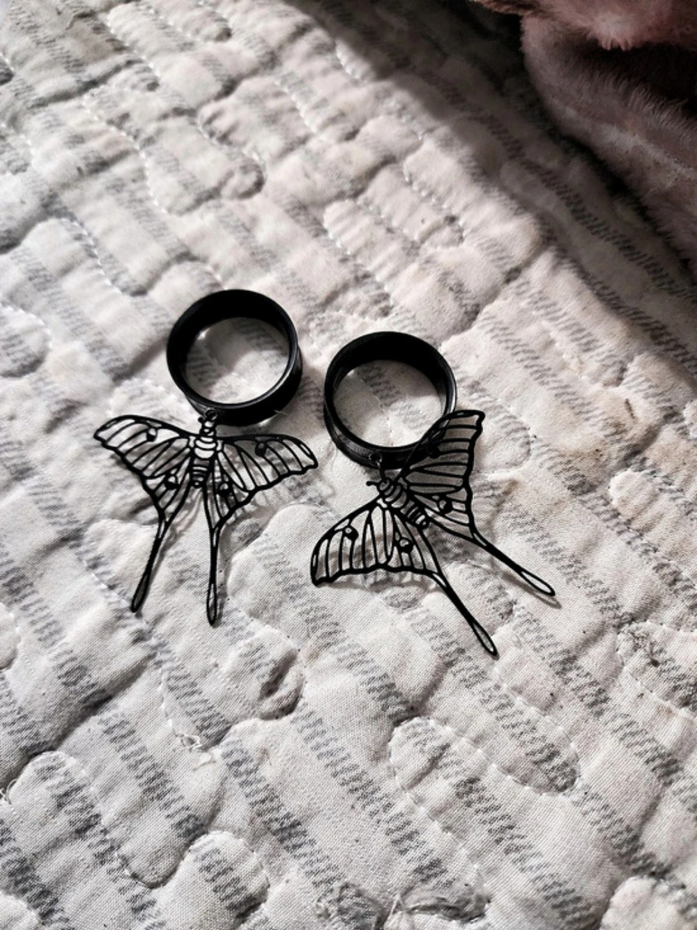 Black Butterfly Statement Plugs